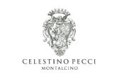 Celestino Pecci logo